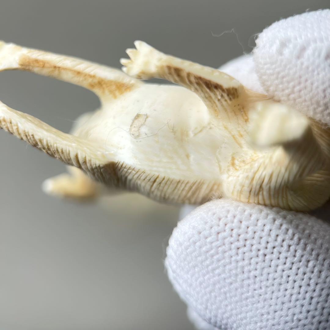 犬の彫刻 3体セット彫刻極上根付天然素材アンティーク骨董飾り物古美術置物細密細工