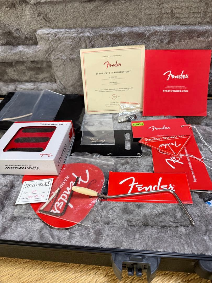 ギター Fender American Professional LTD