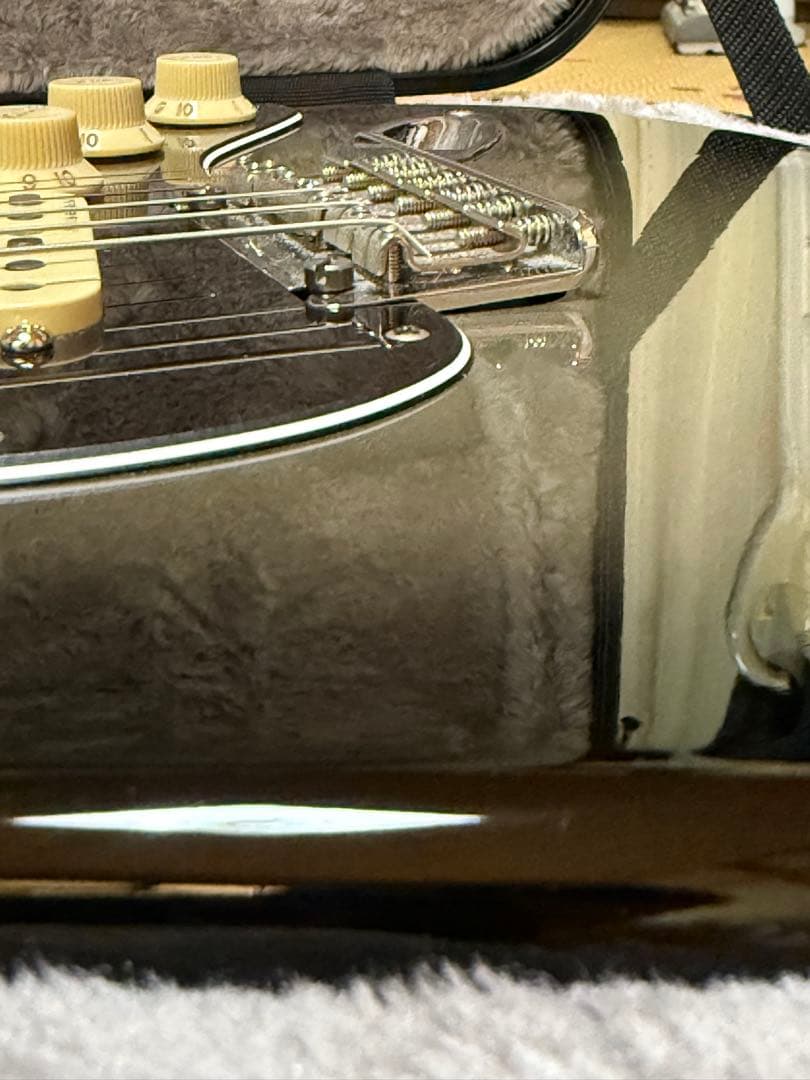 ギター Fender American Professional LTD