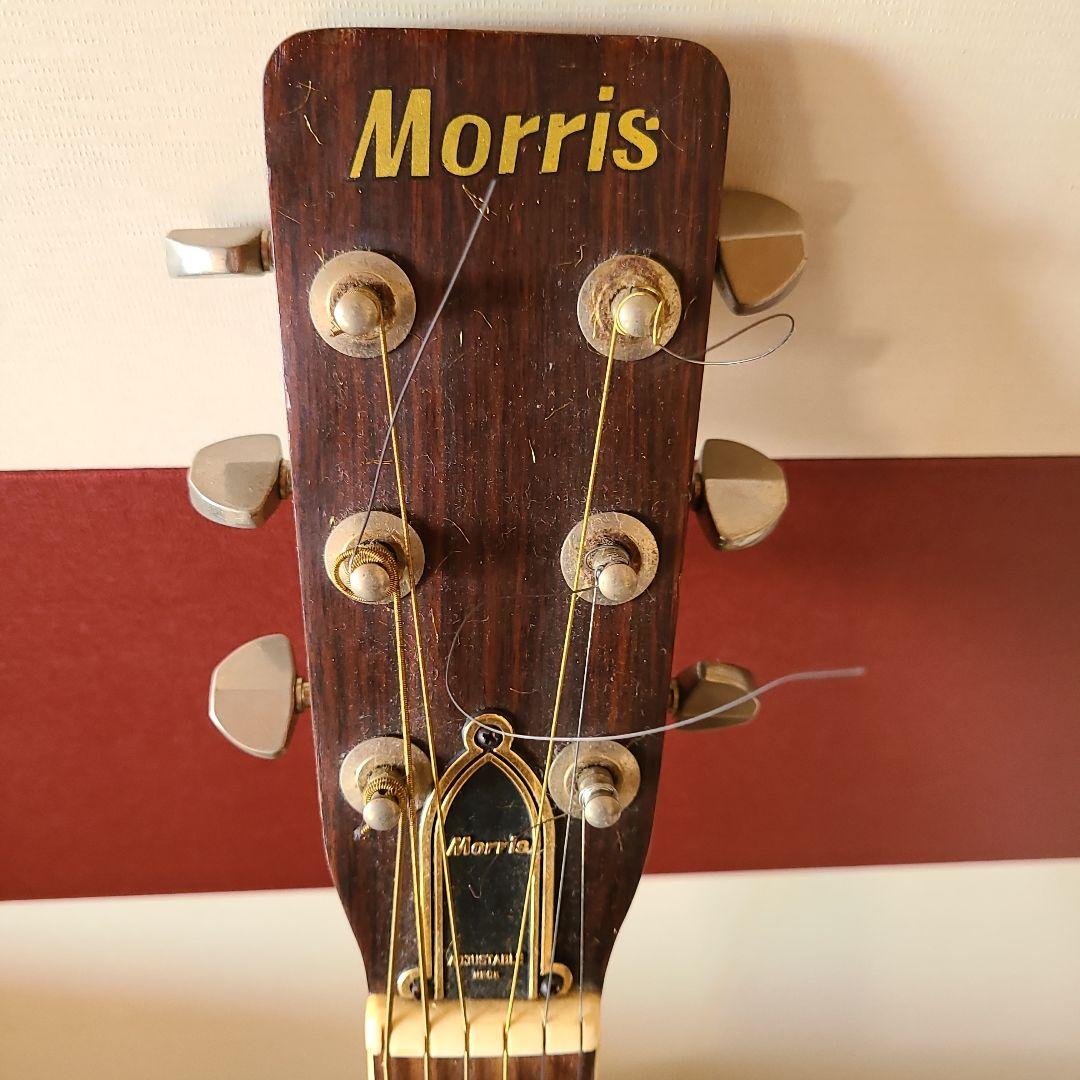 Morris アコースティックギター ドレッドノート