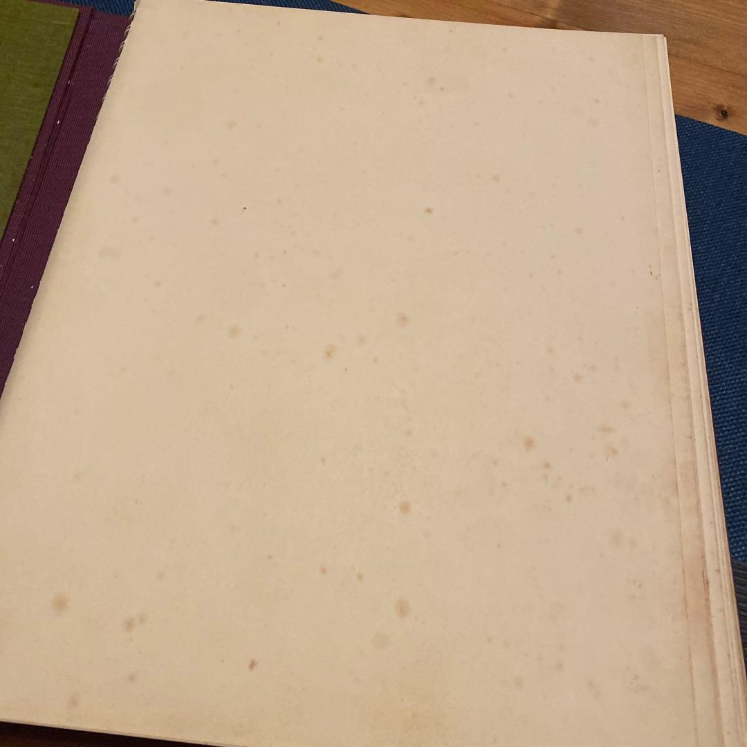 芸術写真 FLOWERS and TREES