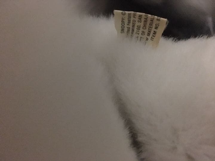 ファミリア スヌーピー Snoopy 最大級  引き取り兵庫【いまだけ】