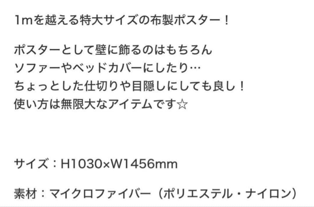 Nissy NEP限定 ファブリックポスター