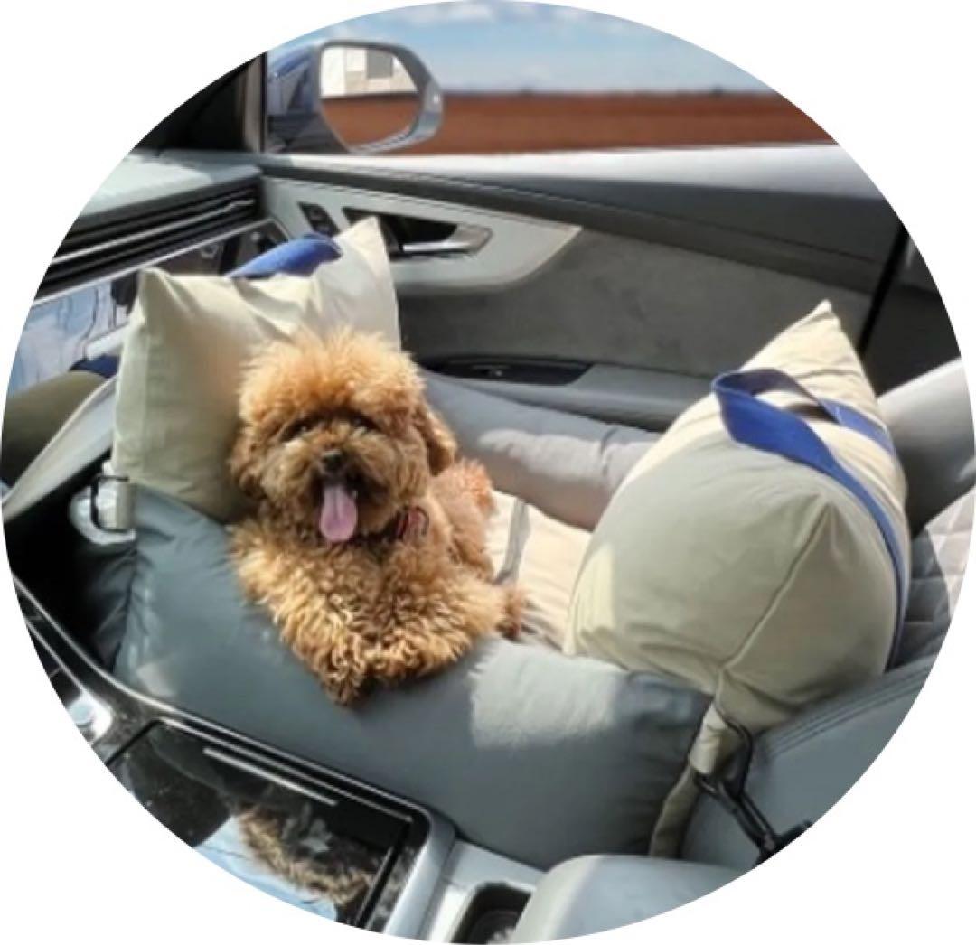 ペットカーシート ペットドライブボックス ペットキャリー犬用カーシートSサイズ赤