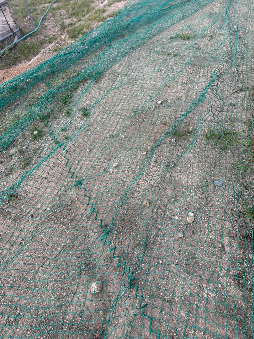 防球ネット 防鳥ネット4m×12m 目合い4cmメッシュ