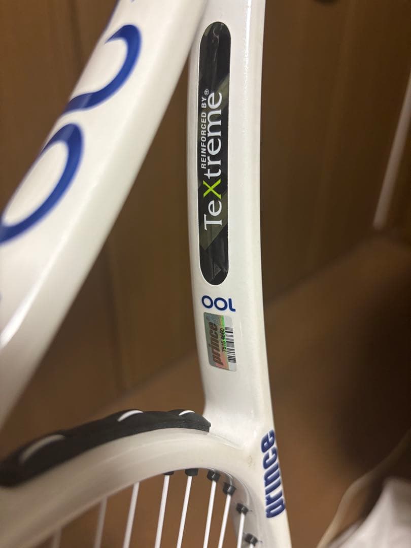 Prince tour(プリンスツアー)100 310g 2022