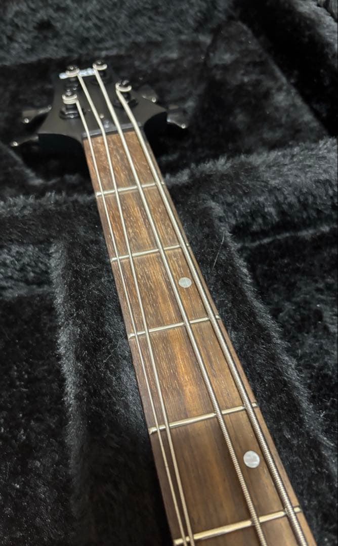 SCHECTER ( シェクター )STEALTH-4 レフティ