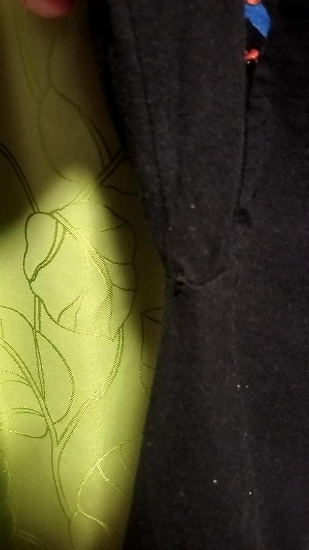 BRUTAL TRUTH 長袖Tシャツ(1995)