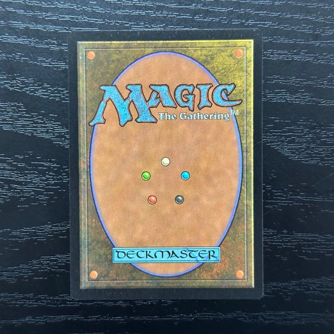 MTG 適者生存 英語