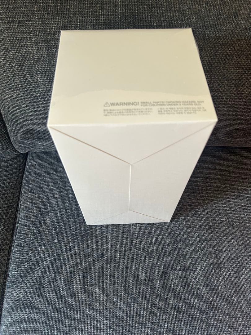 Big into Energy ぬいぐるみ　1アソートボックス ラブブ 正規品