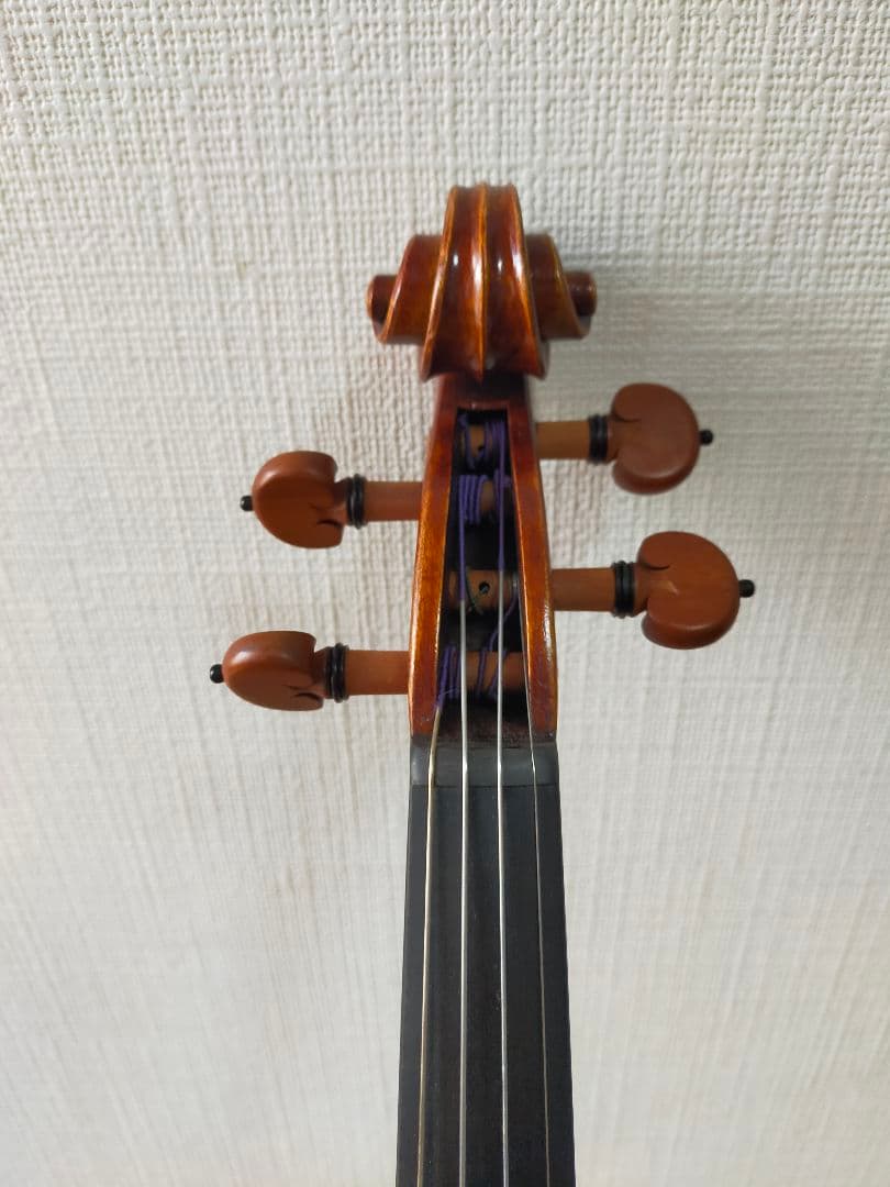 ヴァイオリン（a comtemporary violin）