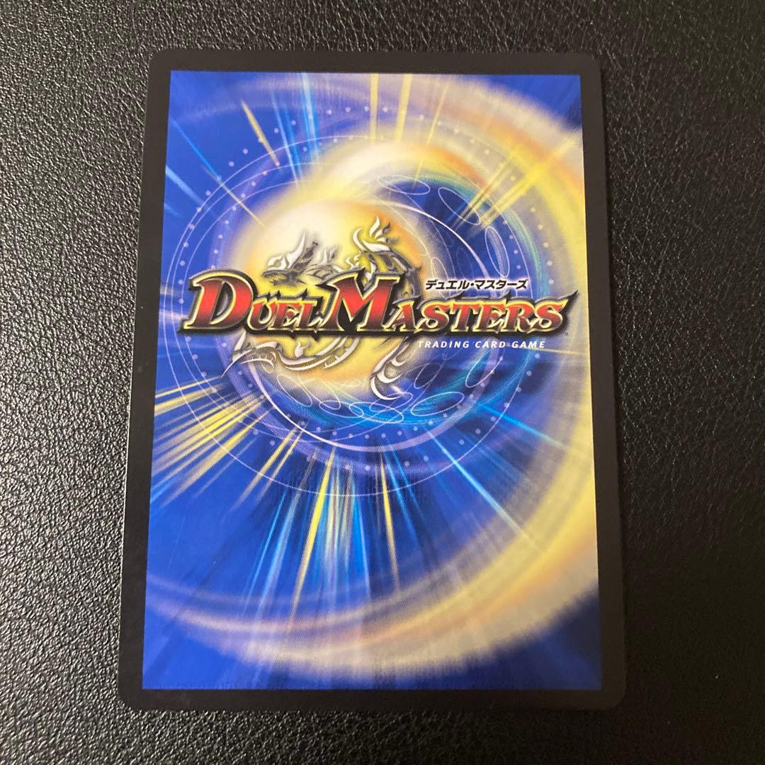 神聖龍 エモーショナル・ハードコア エモーショナルハードコア 金トレジャー 2枚