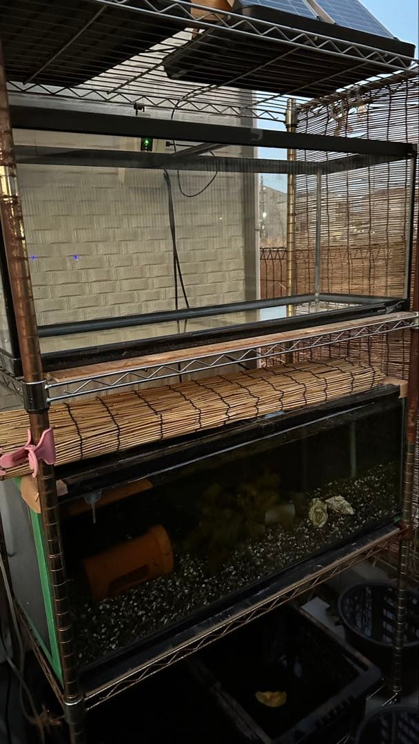 と*ち様 コトブキ 寿 ガラス 水槽 90cm アクアリウム 魚 爬虫類 小動物