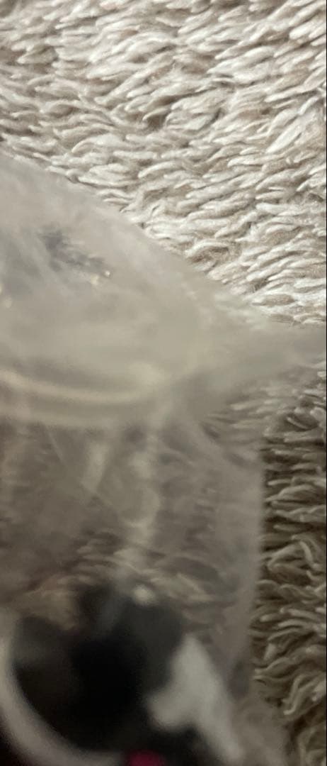 仮面ライダー アクションライド フィギュア