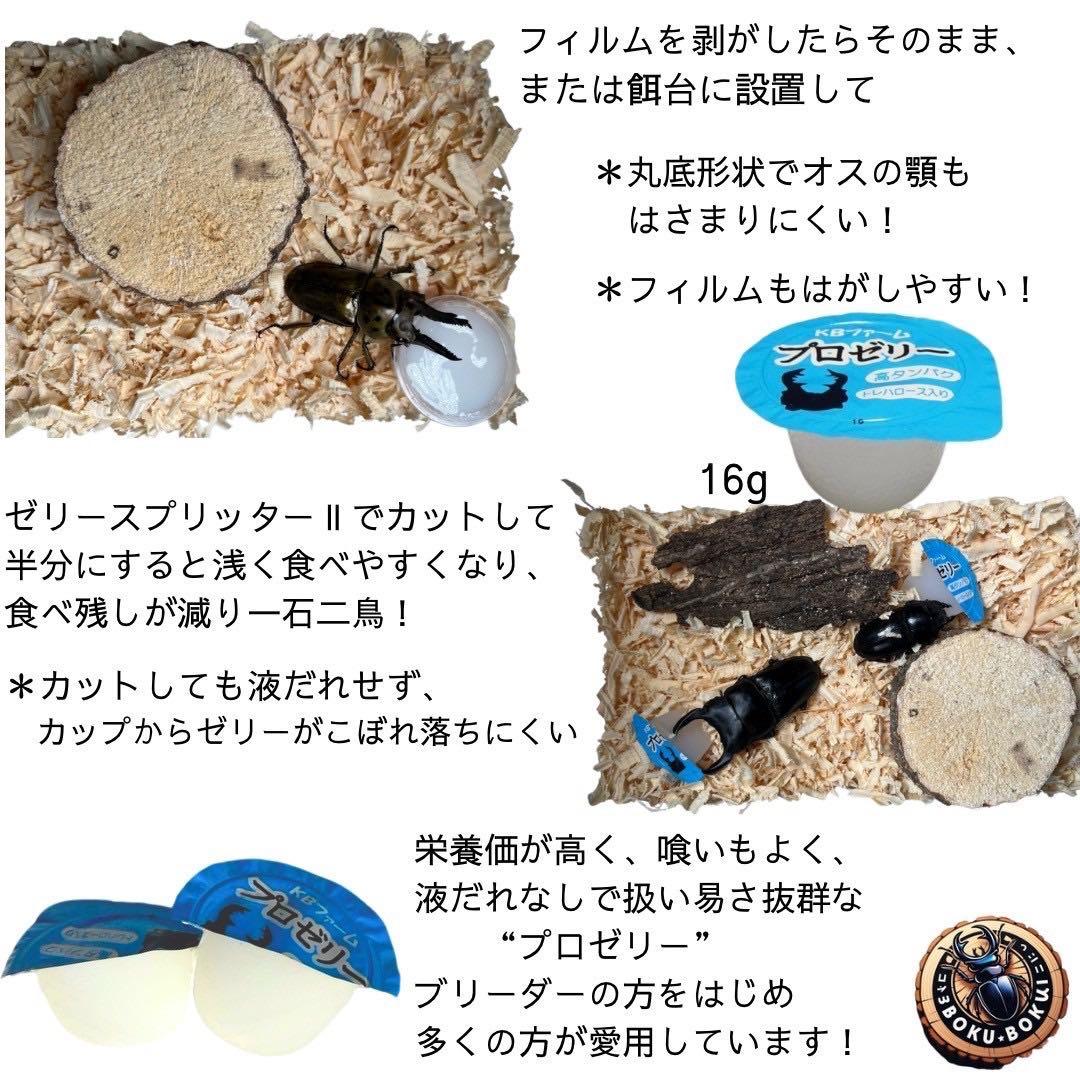 国産プロゼリー1500個KBファームカブトムシ　クワガタinsect jelly