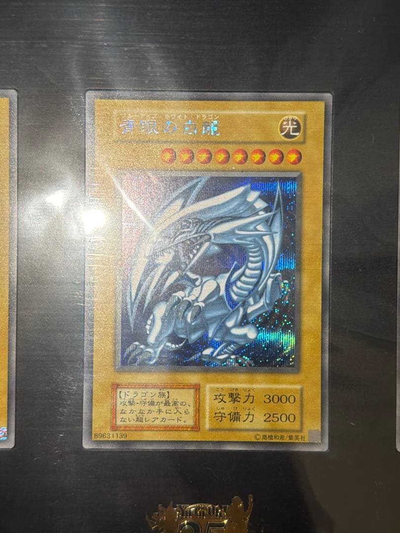 遊戯王 海馬セット 青眼の白龍 3枚セット シクブル