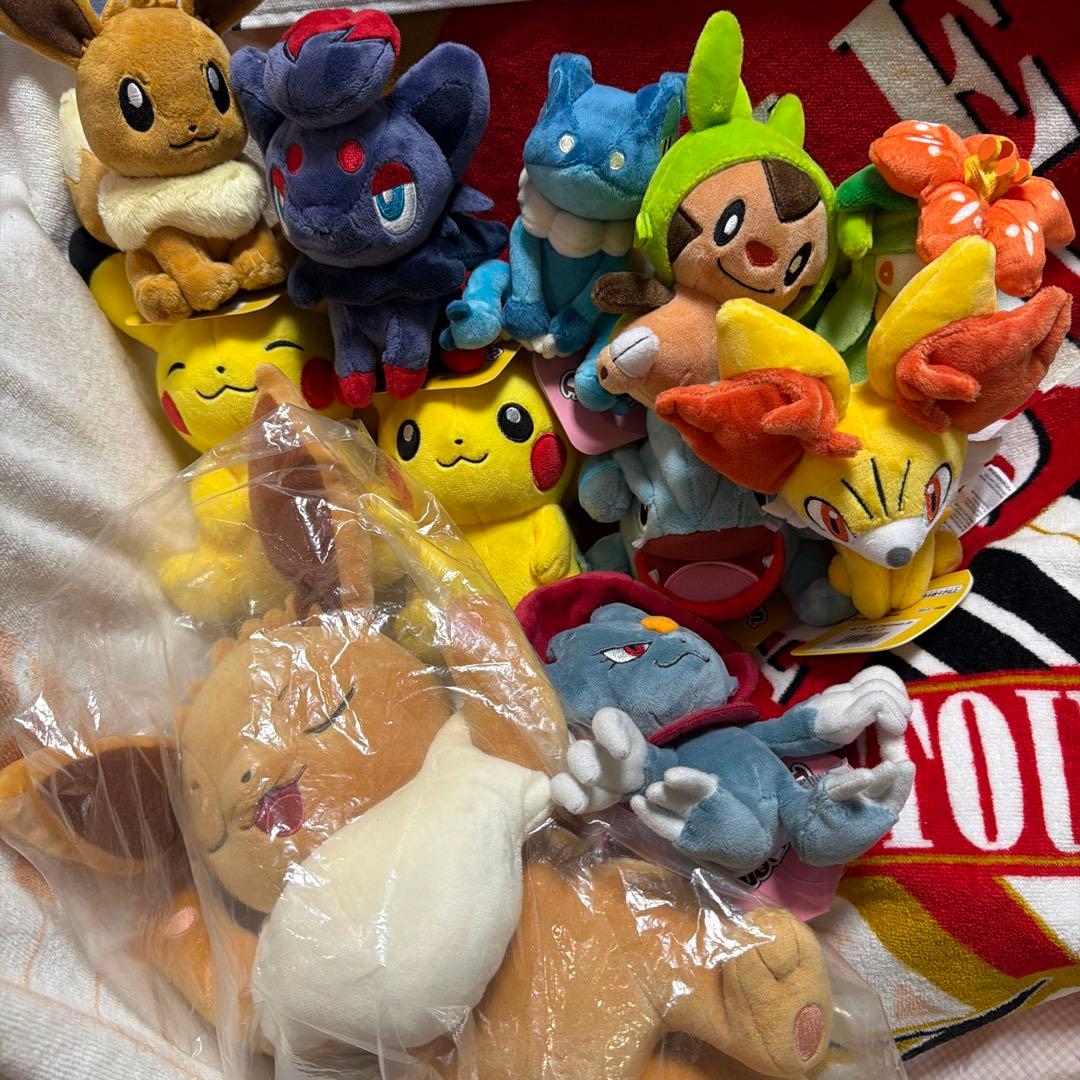 ポケモンぬいぐるみ