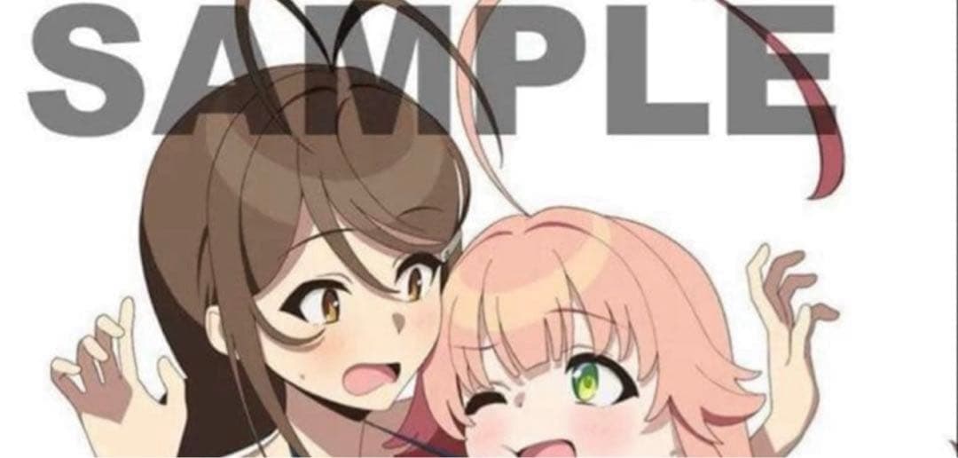 ぬきたし THE ANIMATION Blu-ray 全巻特典 タペストリー