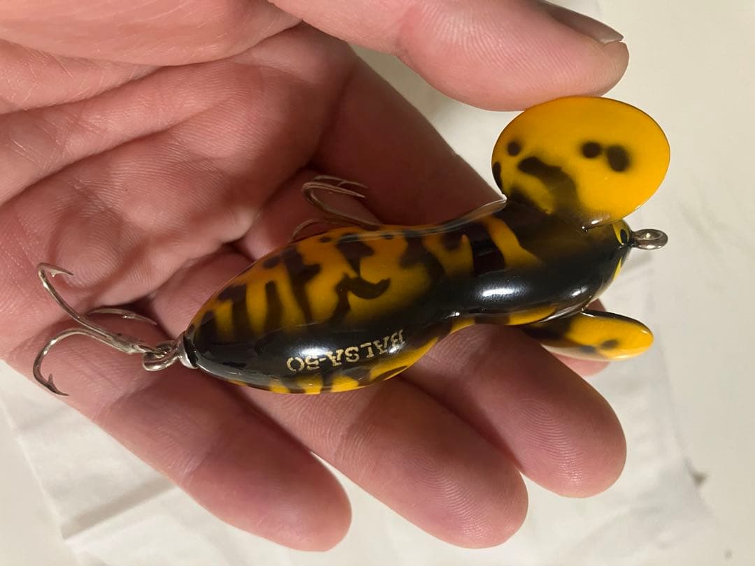 バルサ50ラージマウス青嶋サイン入り激レア！