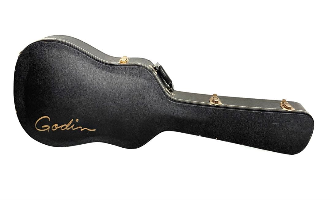 【希少】GODIN MULTIAC JAZZ SA セミアコースティックギター