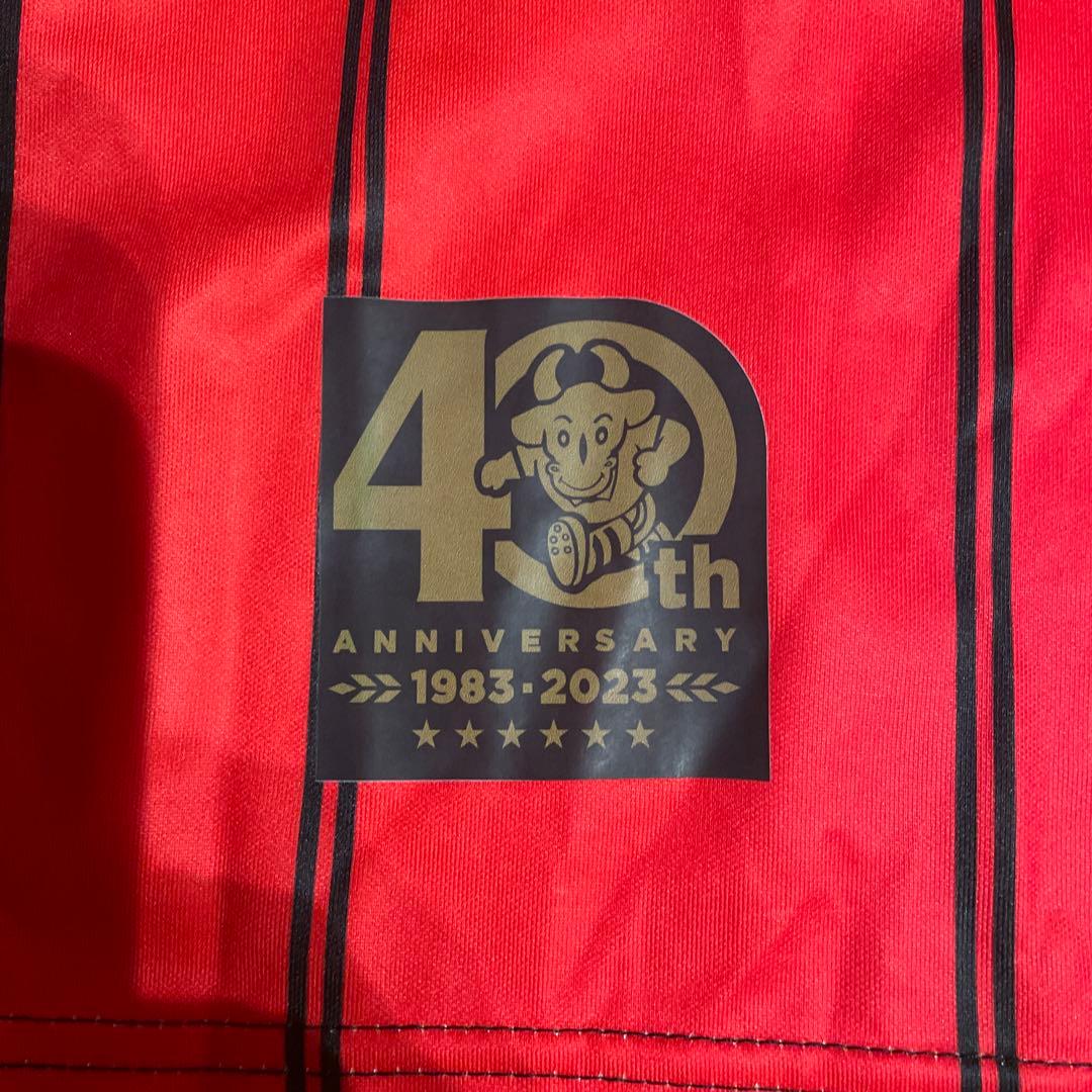 FC Seoul サッカー