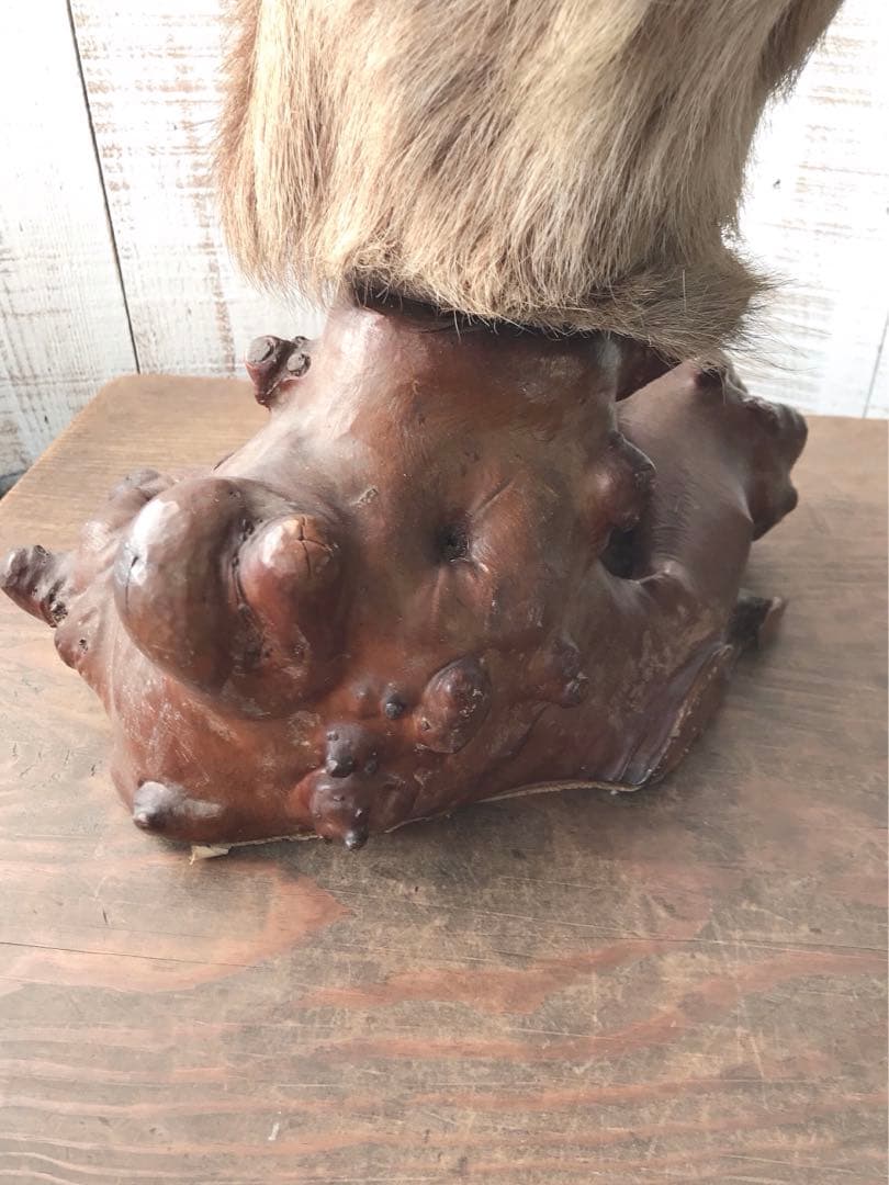 ヴィンテージ　鹿　剥製　土台付き