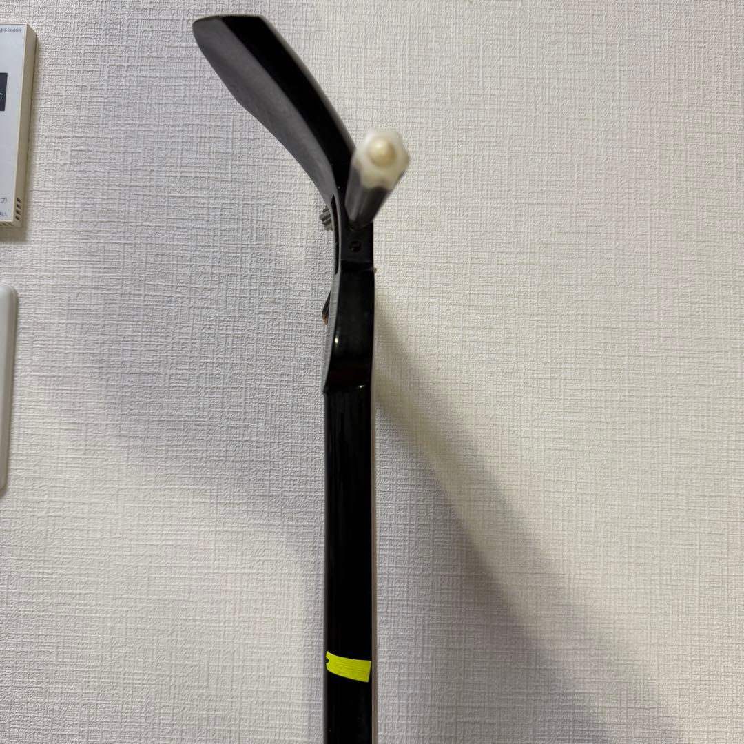 沖縄三線 人工皮 蛇柄 初心者向け 練習用 黒塗り棹