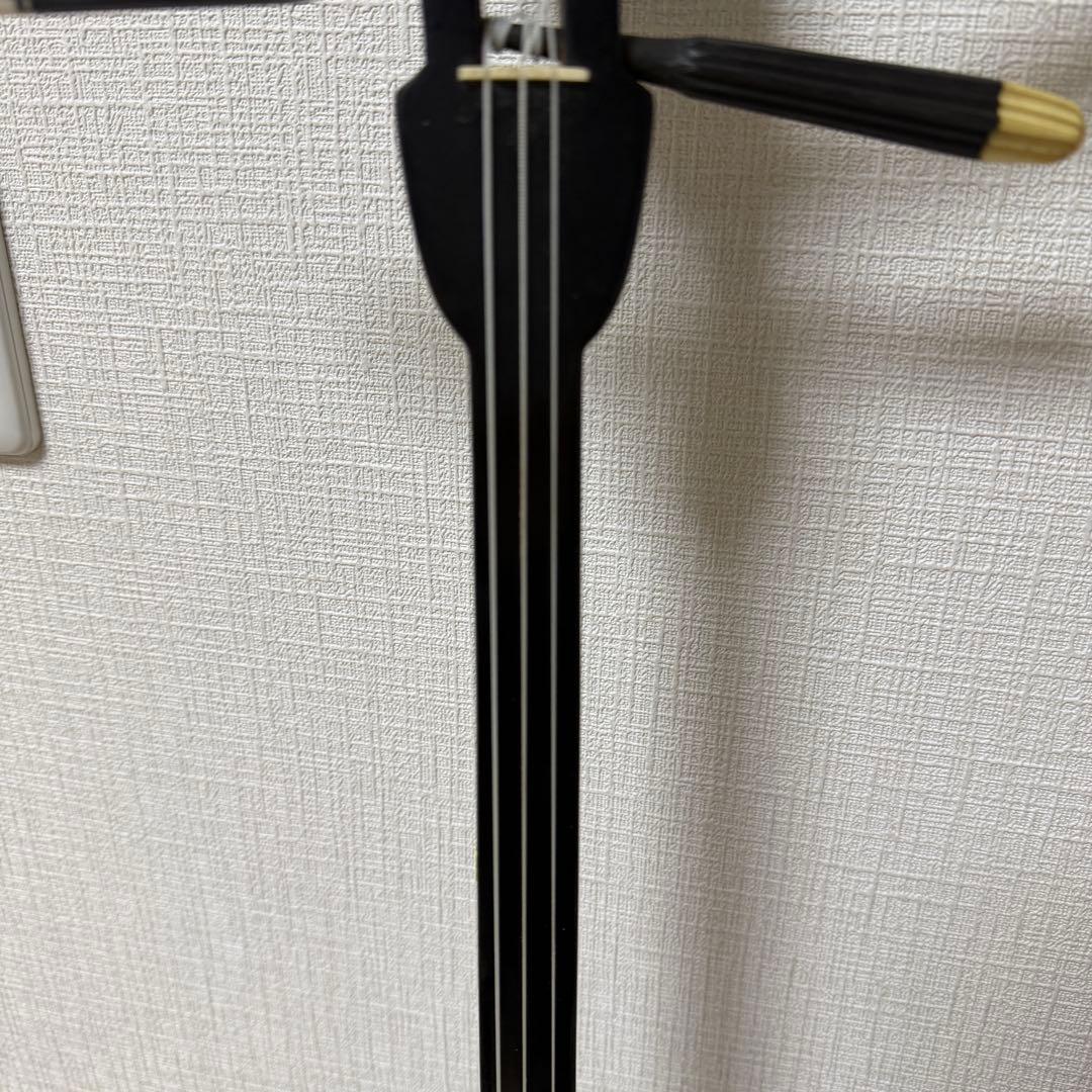 沖縄三線 人工皮 蛇柄 初心者向け 練習用 黒塗り棹