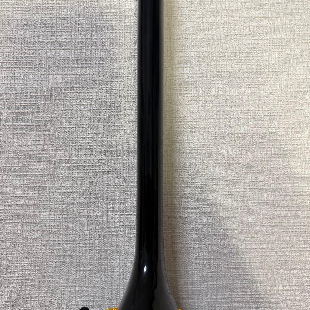 沖縄三線 人工皮 蛇柄 初心者向け 練習用 黒塗り棹