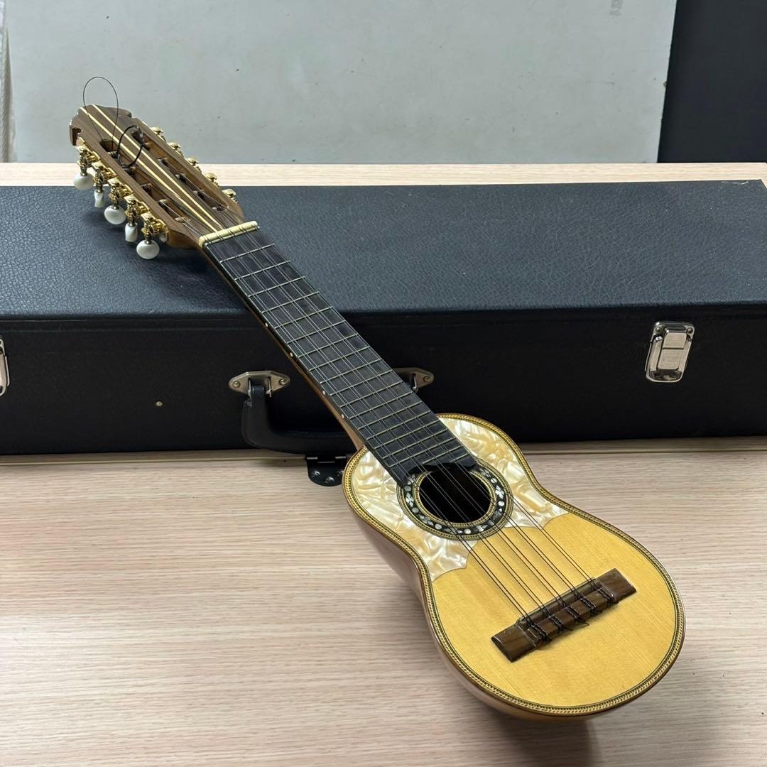 Acha アチャ チャランゴ ボリビア 弦楽器 ハードケース付き