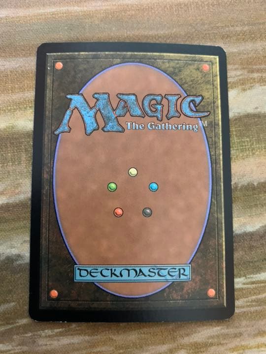 MTG 英語版　低木林地　英語　foil