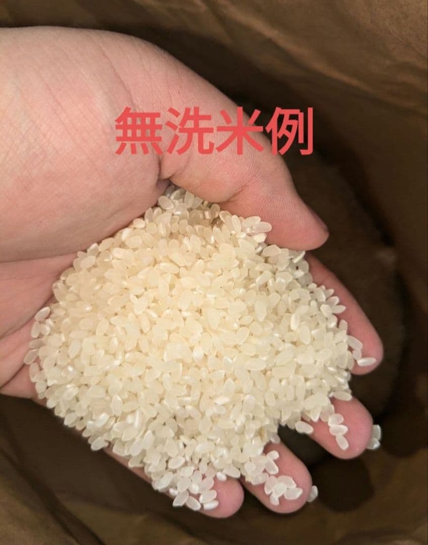 精米無料　令和7年度宮城県産　ひとめぼれ30キロ