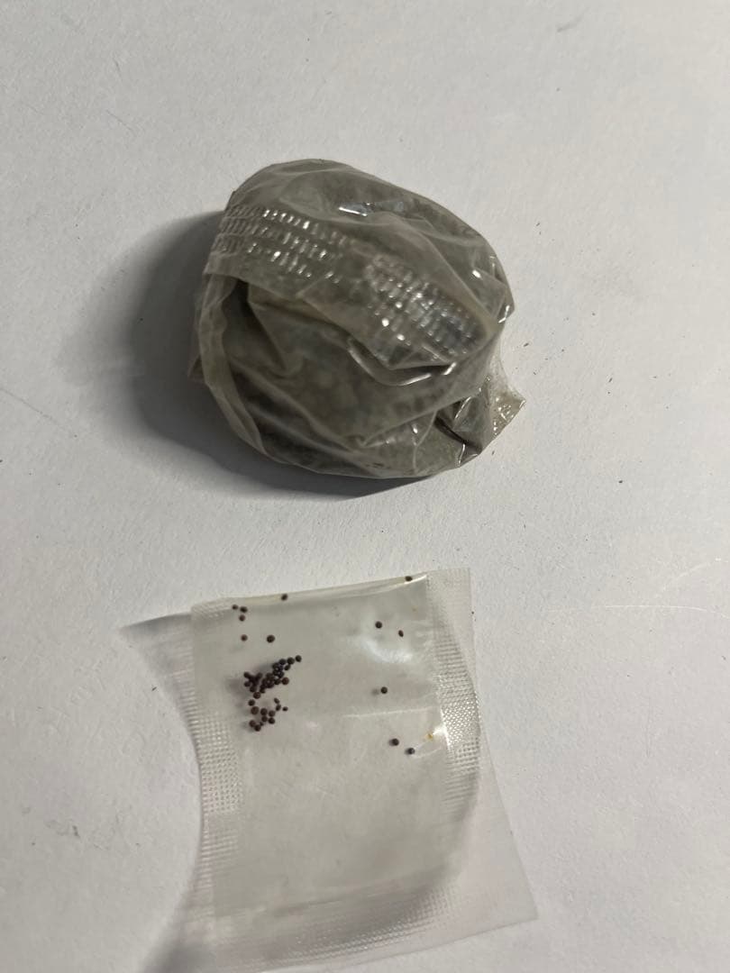 ポケモン　ポケットガーデン　ピカチュウ 陶器 植木鉢