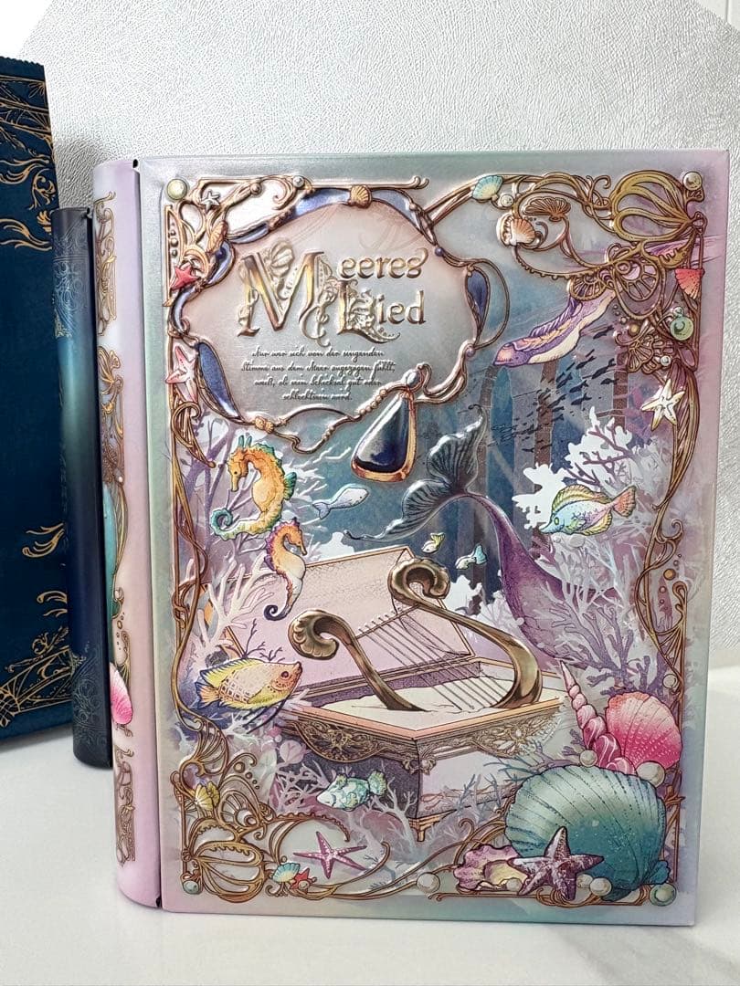 メリー　Mary's バレンタイン　2026 ナハトラビュリント　チョコ3種　袋