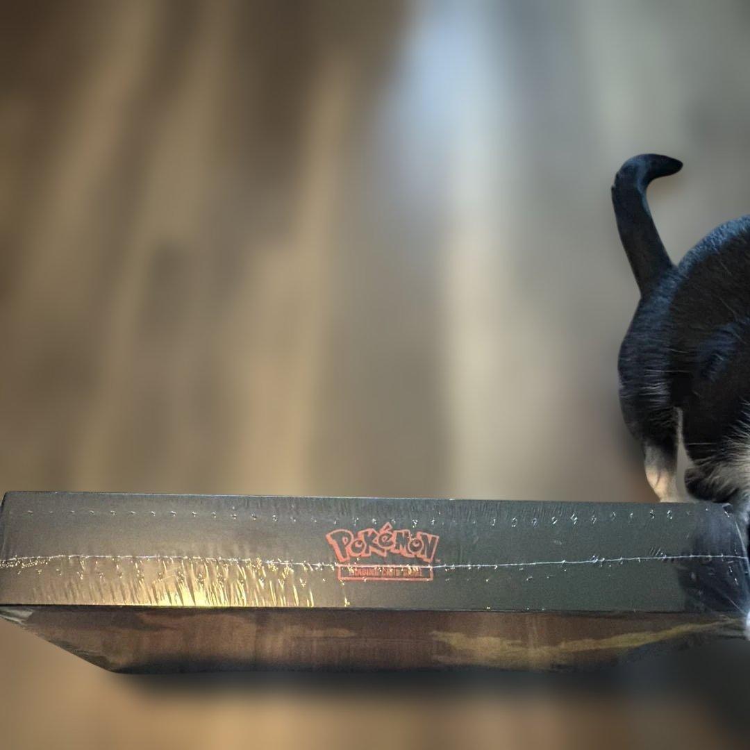 ポケモンカード　フィイヤー　ウルトラプレミアムコレクション　海外限定　未開封