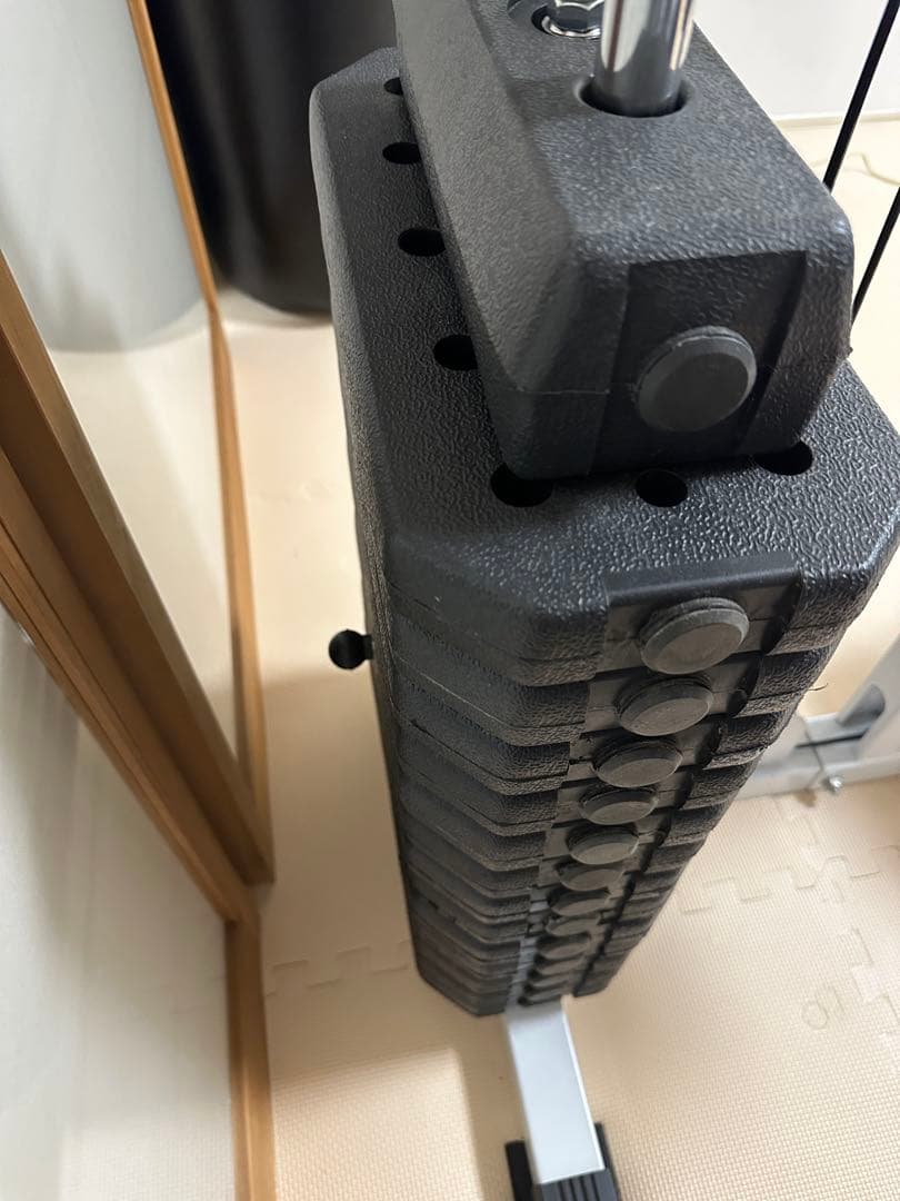 ワイルドフィット　WILD FIT 200ラットプルマシン　ウエイトプレート付