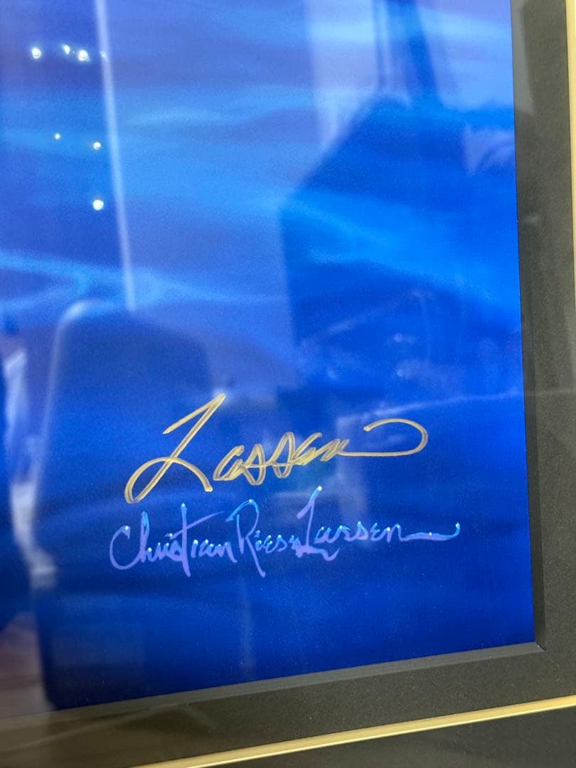 クリスチャン　ラッセン　スターリーアイズL 直筆彩色あり　直筆サイン　イルカ　海