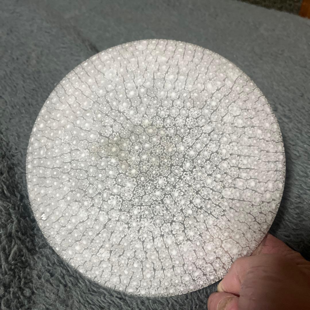 dadoi77  ErcoleMoretti ☆エルコーレ モレッティ