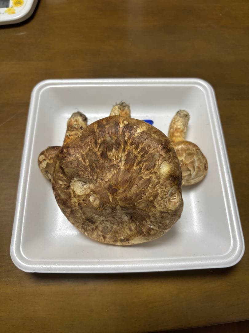 香川県産　獲れたて松茸4 3本150グラム　国産　天然物 150g