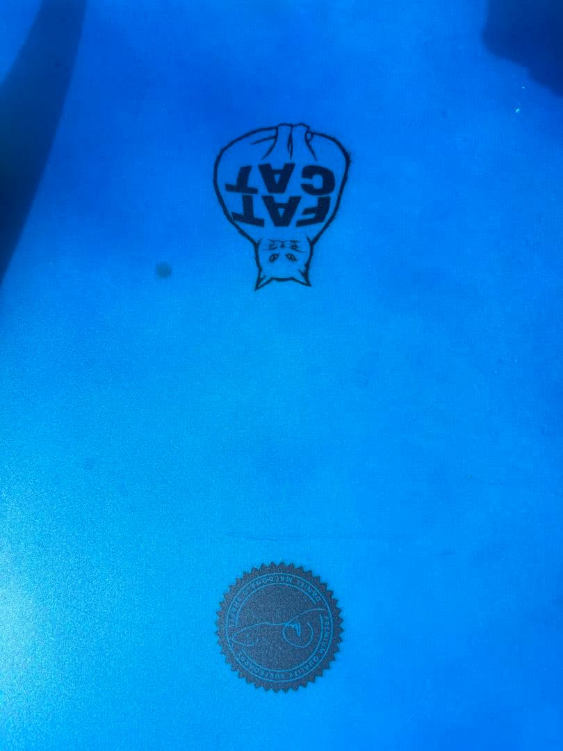 ＤＭＳ　FATCAT ファットキャット　ＥＰＳ　５”10