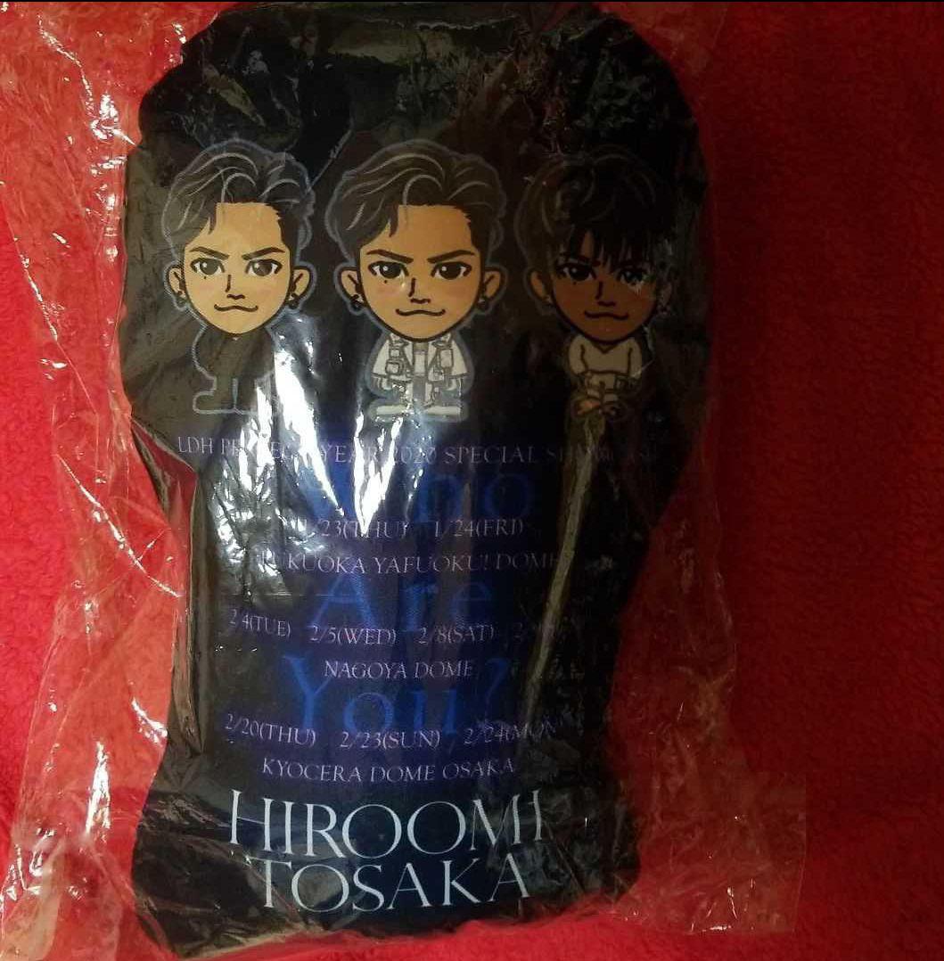 登坂広臣 ライブ会場記念レア クッション