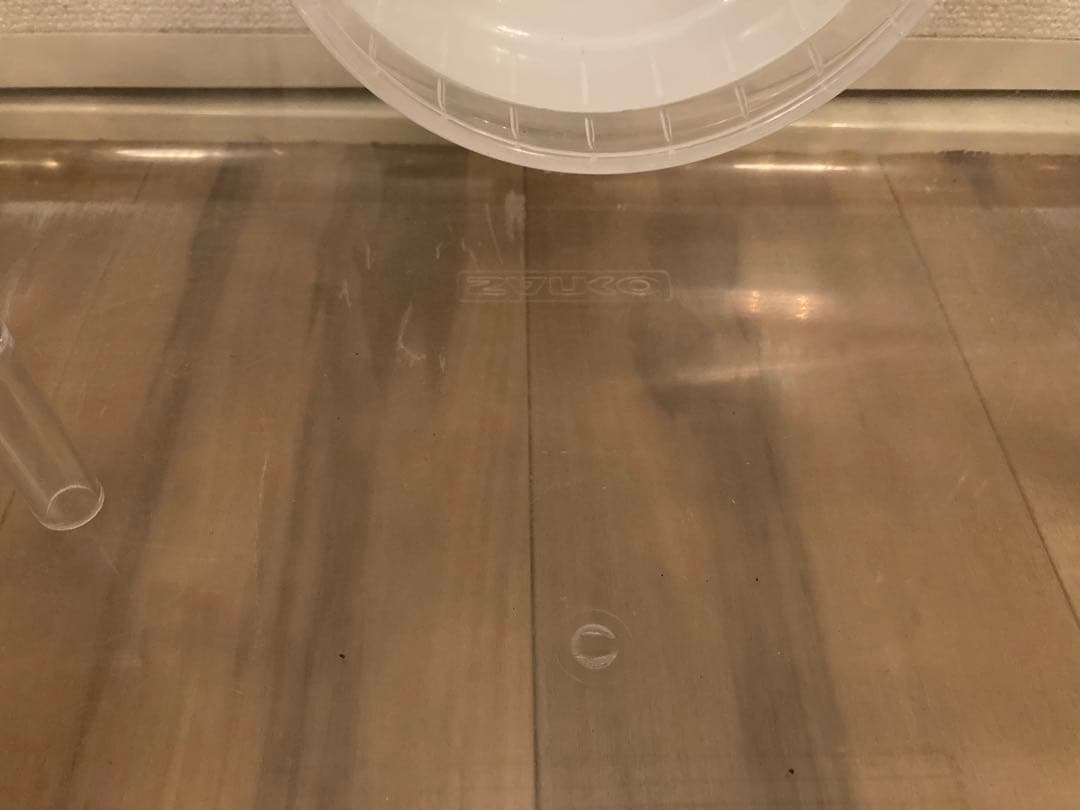 ルーミィ60 ハムスター　小動物　ケージセット