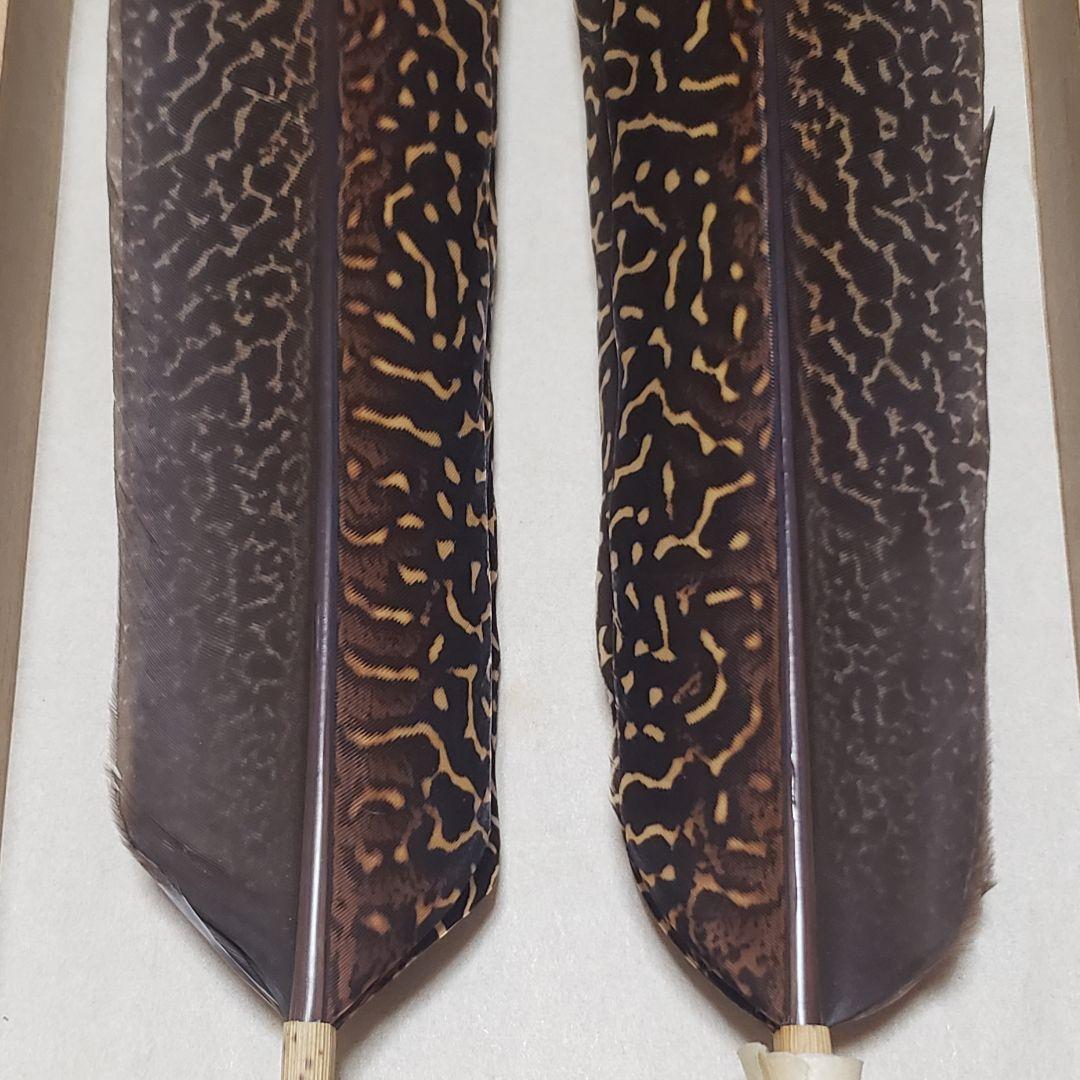 茶道具 炉用 青鸞 セイラン せいらん (胡麻) 羽箒 仕立師 杉本鳳堂