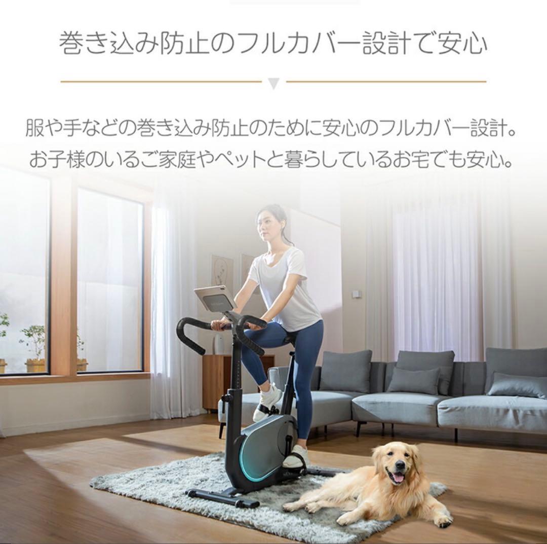 NEXGIM C01s エアロバイク　スピンバイク