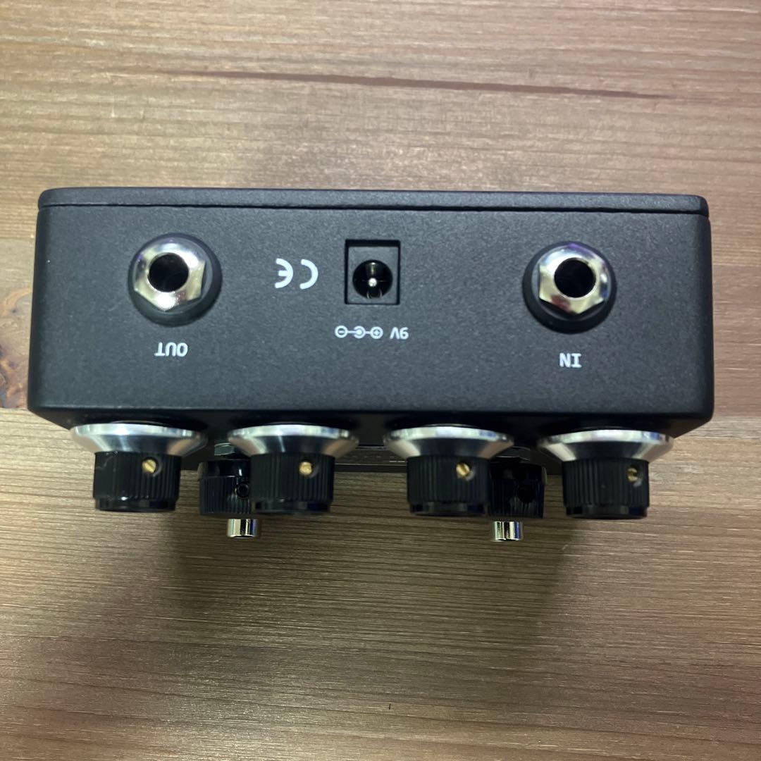 browne amplification PROTEIN クローン