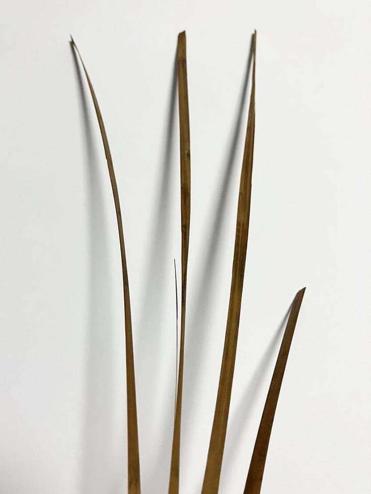 【書】　★ 文献 古中国竹簡 4本 ★　漢朝期　篆書 隷書 古代漢字　高古簡牘