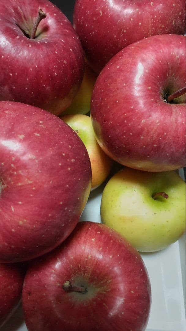 農薬不使用　４種リンゴ　10キロ位と完熟プルーン1.7キロ サンプルーン400g