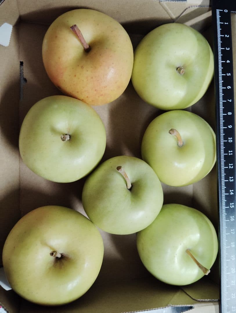 農薬不使用　４種リンゴ　10キロ位と完熟プルーン1.7キロ サンプルーン400g