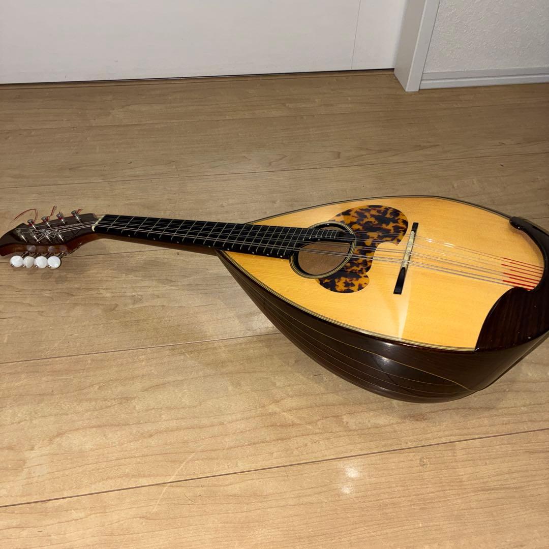 TSUNEO FUJIMARU MODEL ikegaku ANNO マンドリン