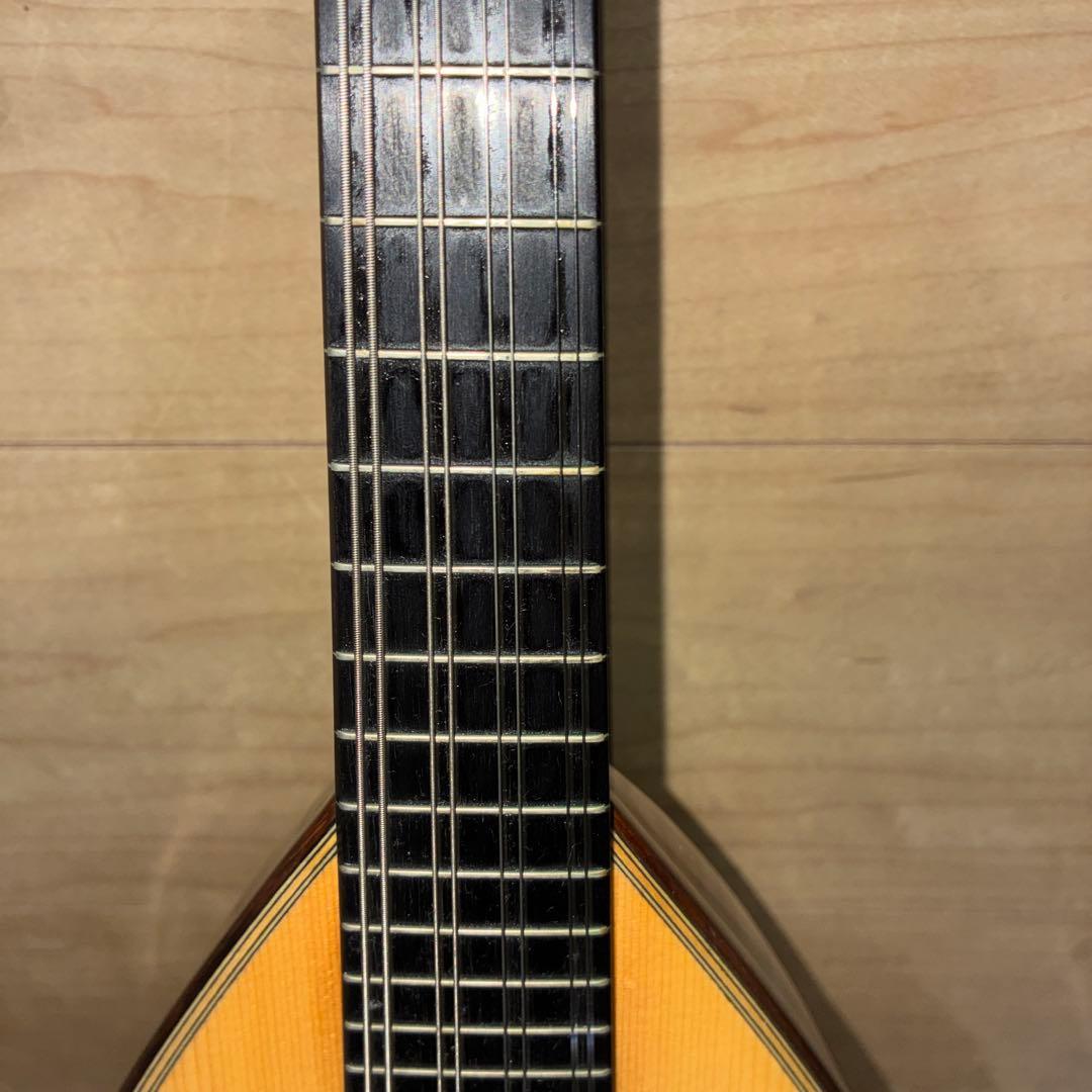 TSUNEO FUJIMARU MODEL ikegaku ANNO マンドリン